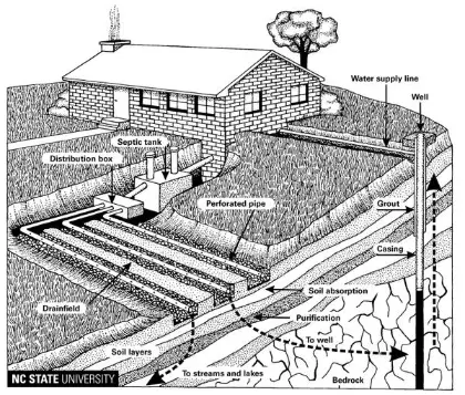 Detailed Mapping and Documentation